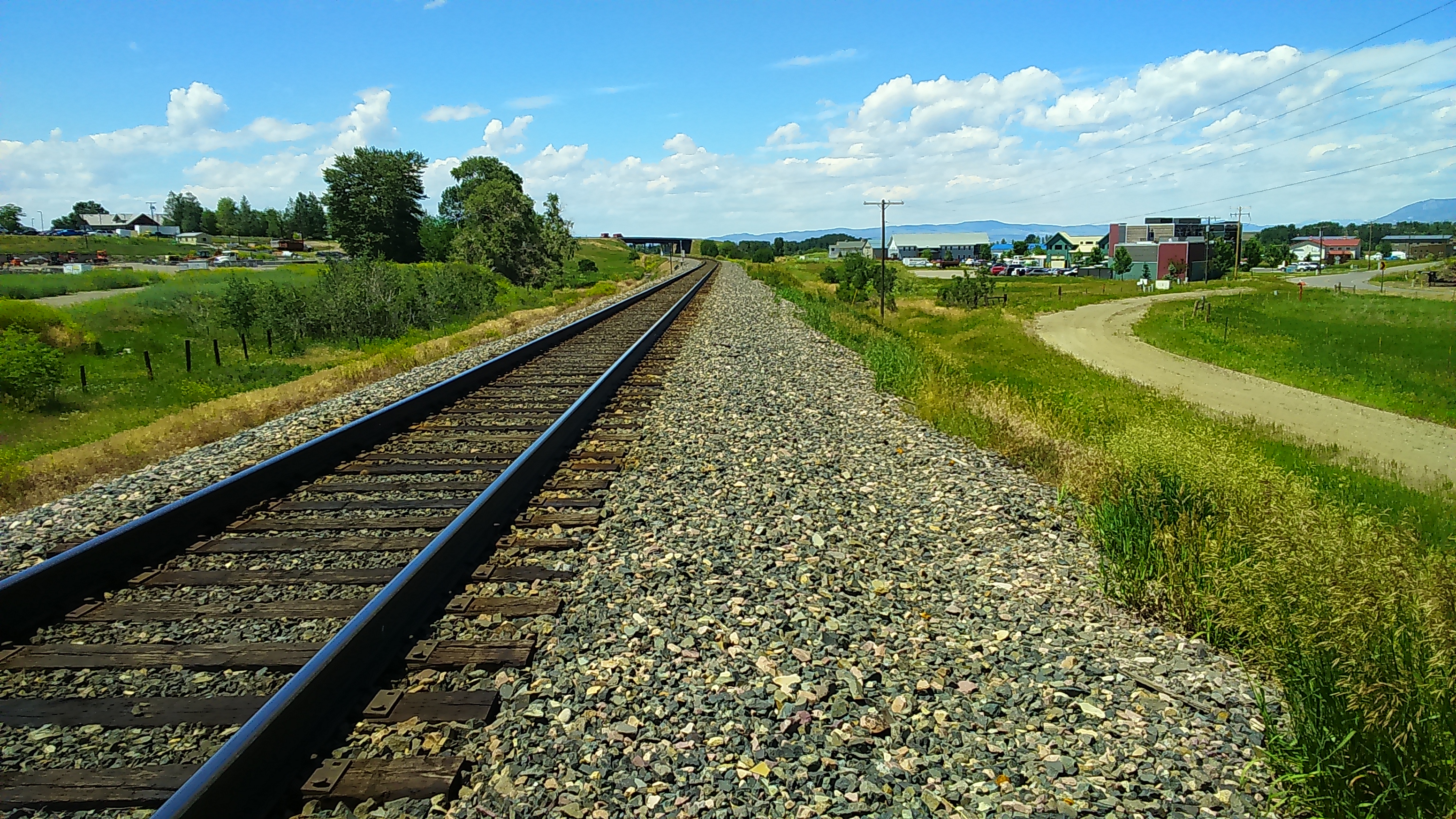 Conservation method, ANOVA, career path